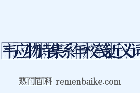 韦应物诗集系年校笺近义词是什么意思的图片